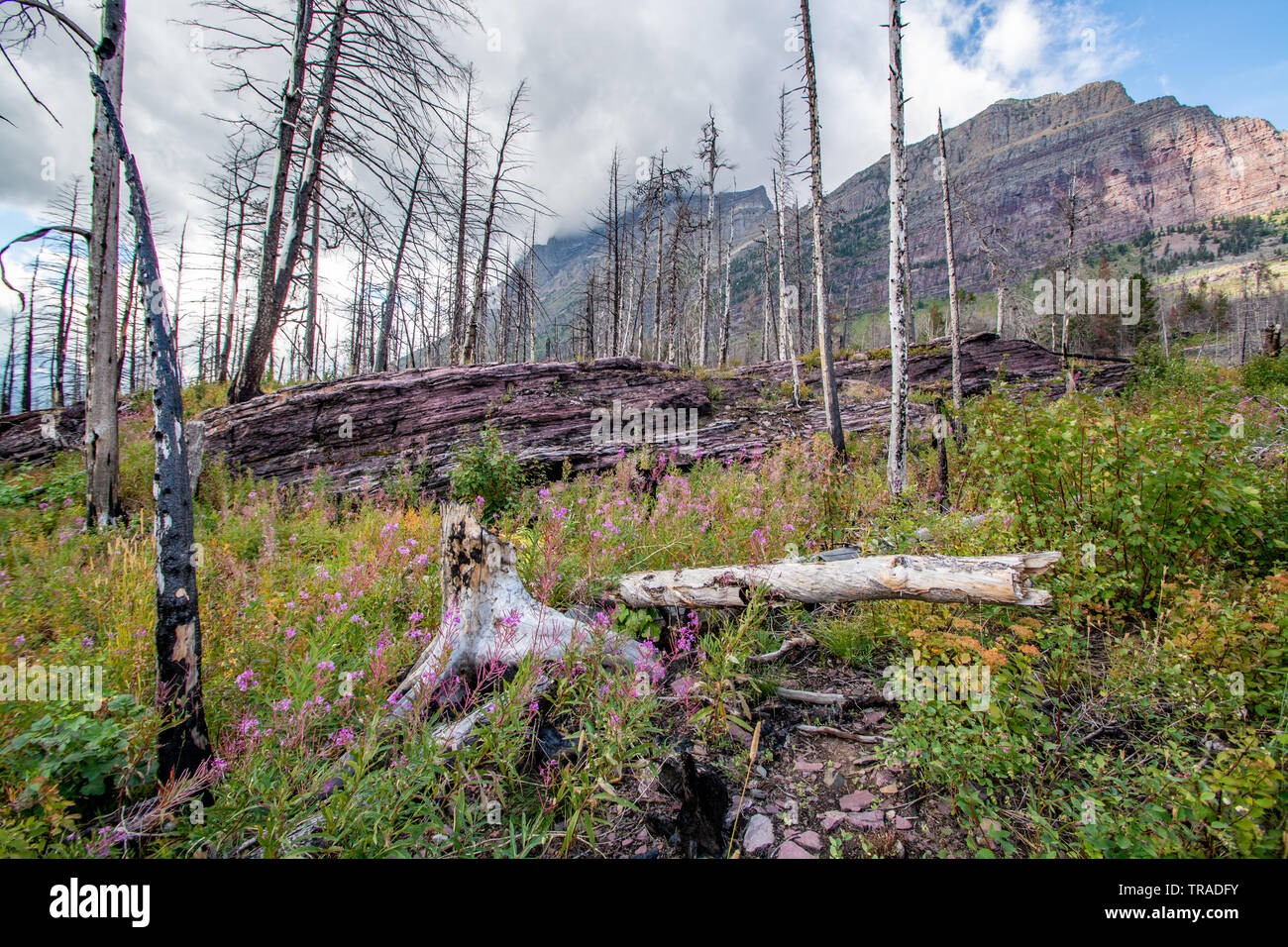 Hike St Marys Glacier High Resolution Stock Photography and Images - Alamy