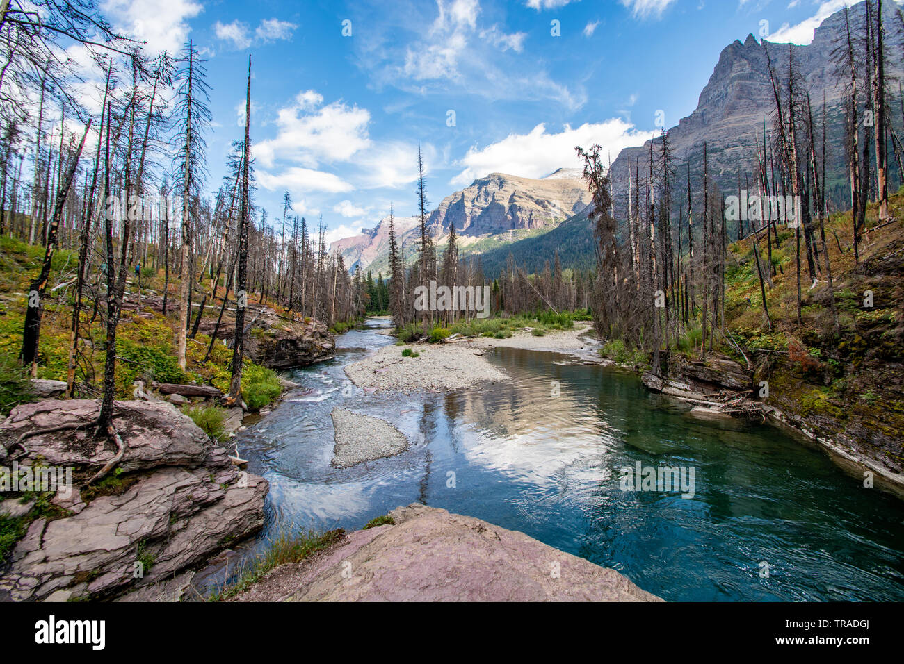 St Mary's Falls Trail, Glacier National Park Stock Photo Alamy