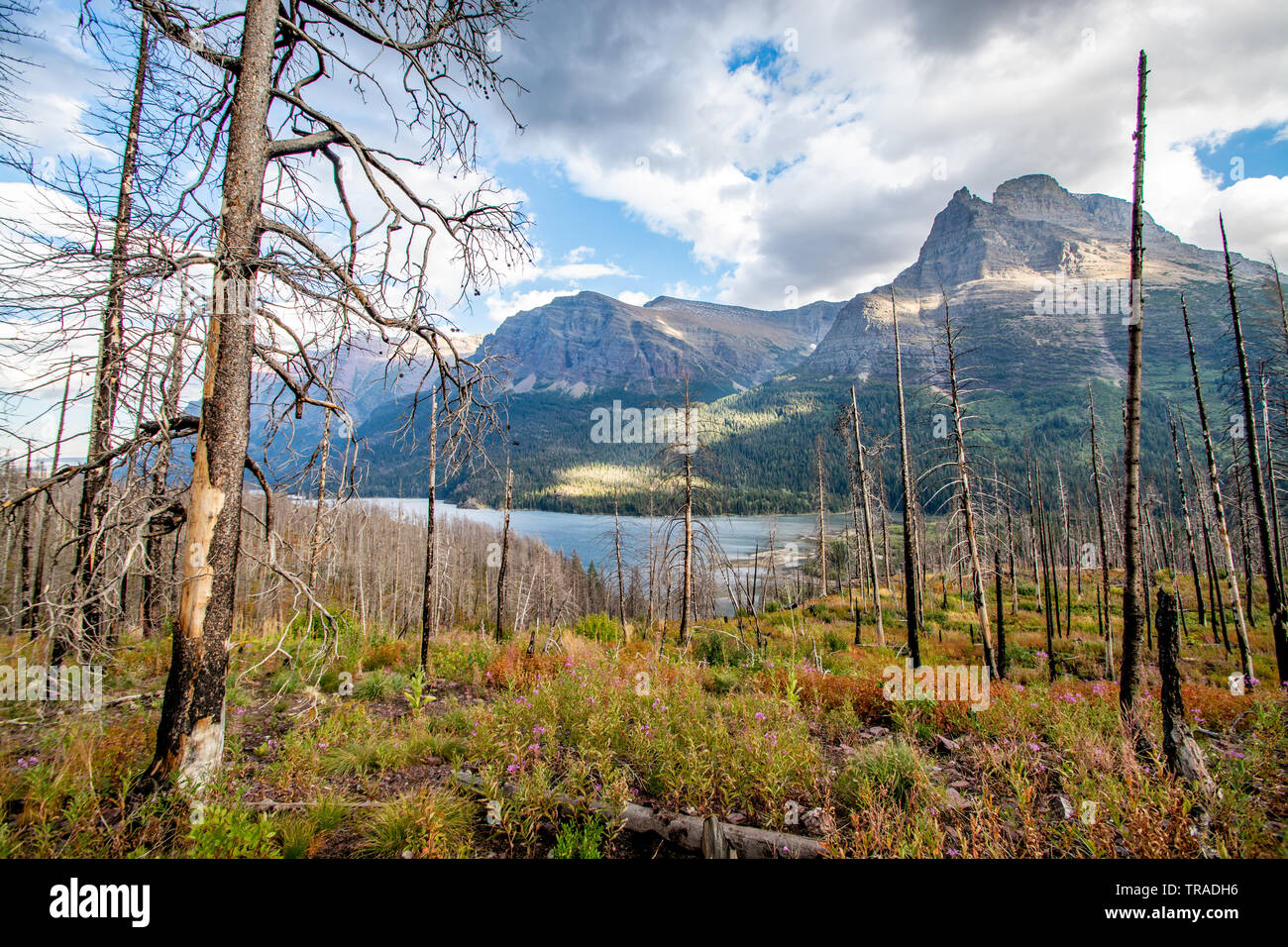 Hike st marys glacier hi-res stock photography and images - Alamy