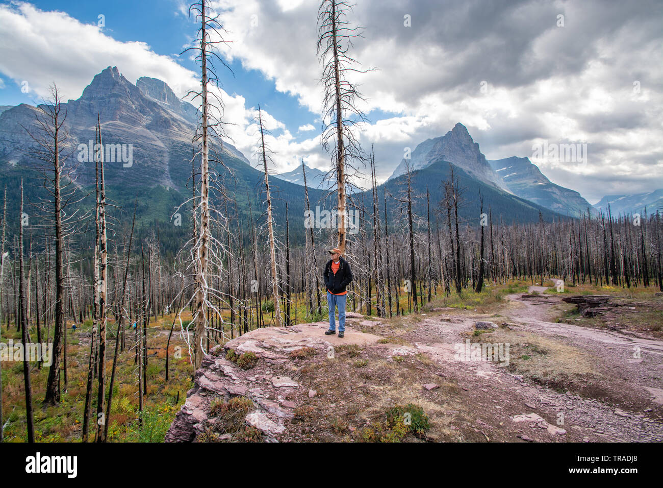 St Mary's Falls Trail, Glacier National Park, Montana, Man Hiking Stock Photo