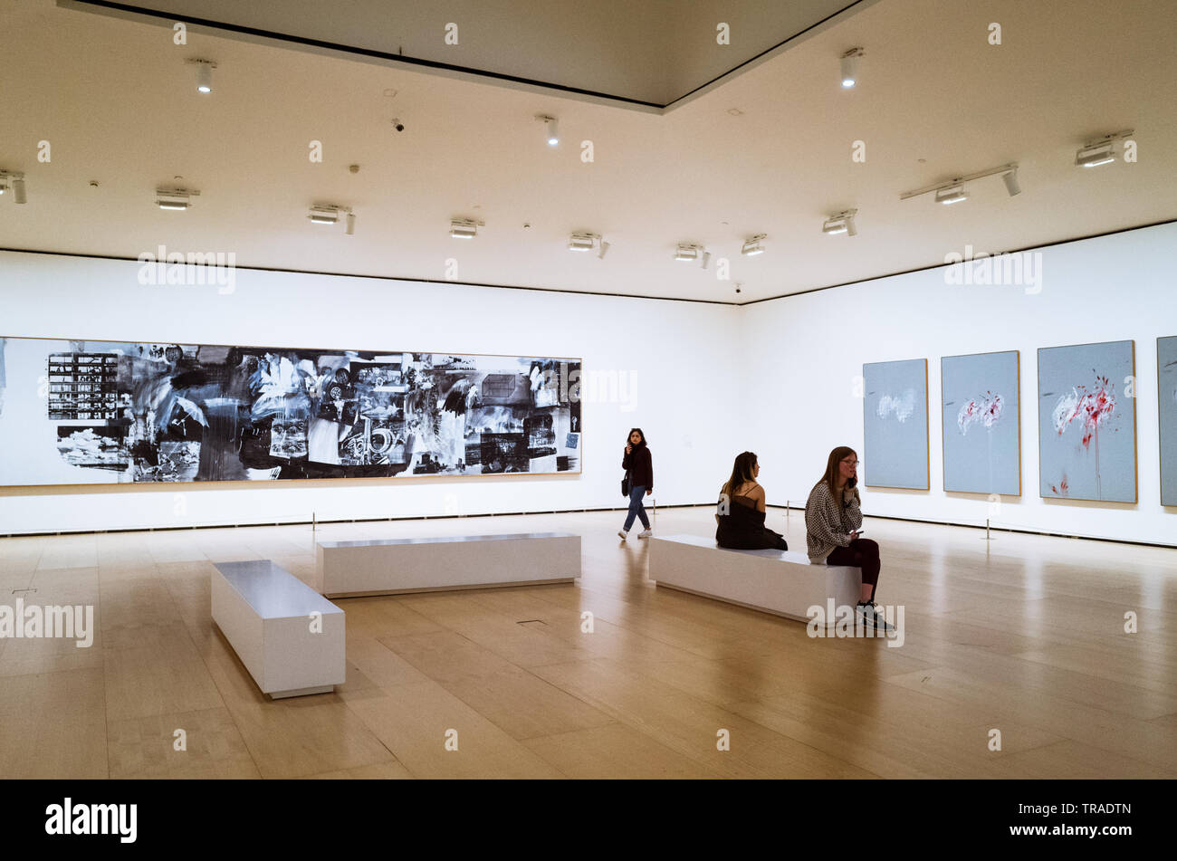 Bilbao, Biscay, Basque Country, Spain :  Visitors look at the works Barge (1962–63) by artist Robert Rauschenberg and Nine Discourses on Commodus (196 Stock Photo