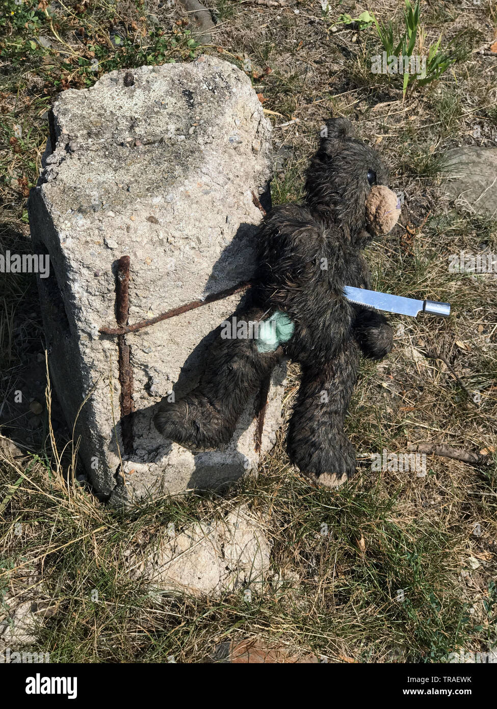 The plush teddy bear is pinned with knife to milestone  beside road. Stock Photo