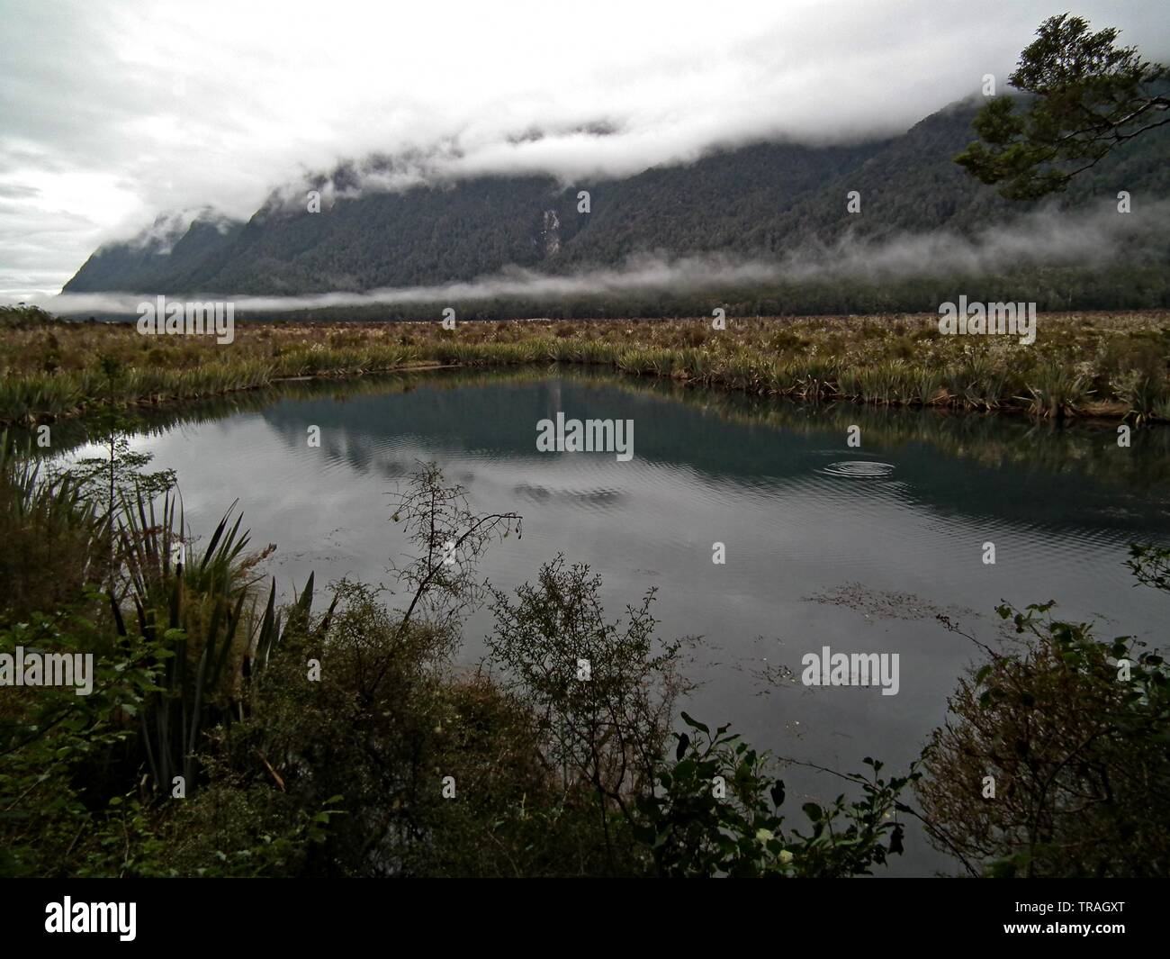 Mirror lake, New Zealand Stock Photo
