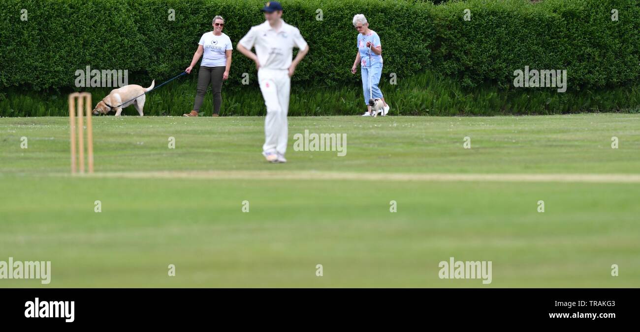 Two women with dogs stop to watch the match in the Derbyshire and