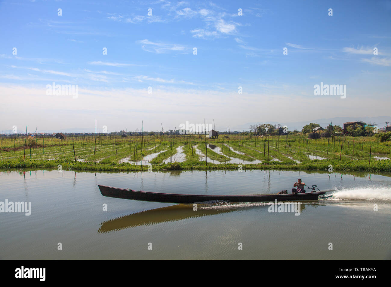 Floating vegetable gardens at Inle Lake, Myanmar Stock Photo Alamy