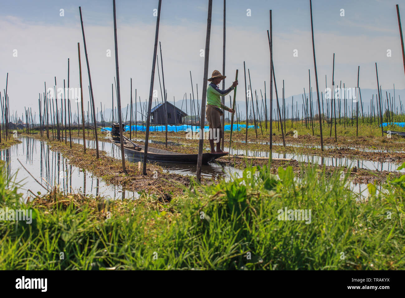 Floating vegetable garden hires stock photography and images Alamy