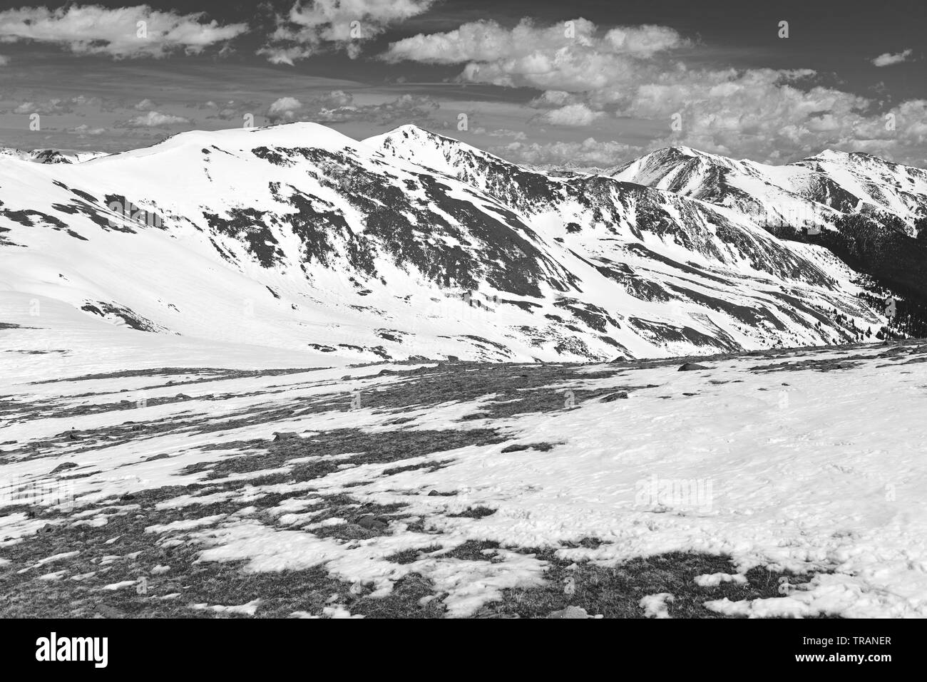 Beautiful nature snow images Black and White Stock Photos & Images - Alamy