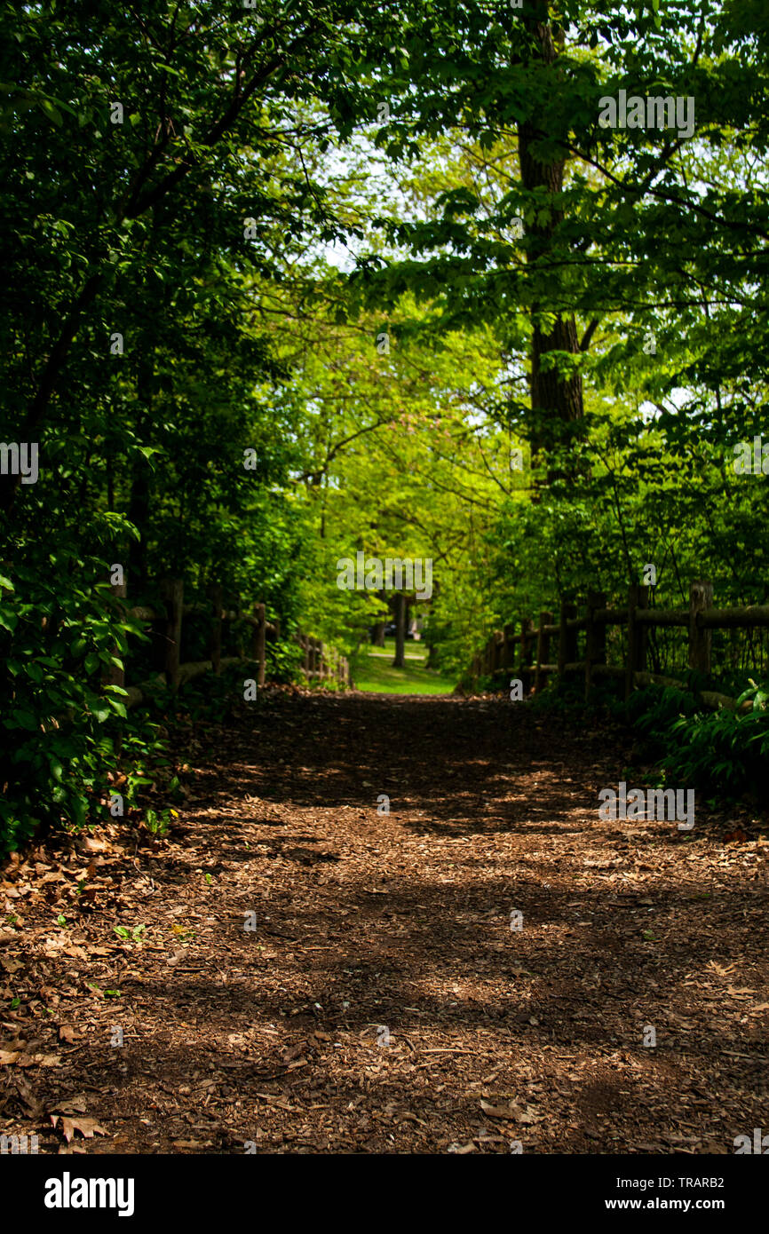 Spring greenery toronto hi-res stock photography and images - Alamy