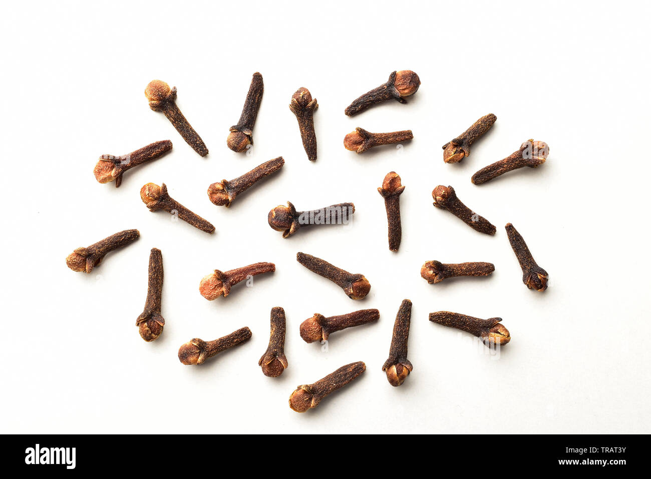 clove isolated on white background Stock Photo