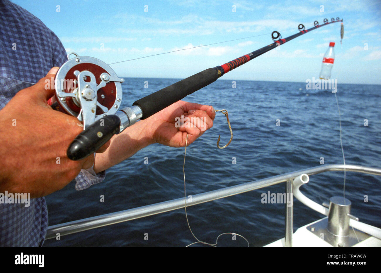 Shark fishing with rod and line off Plymouth, Devon, England Stock Photo -  Alamy