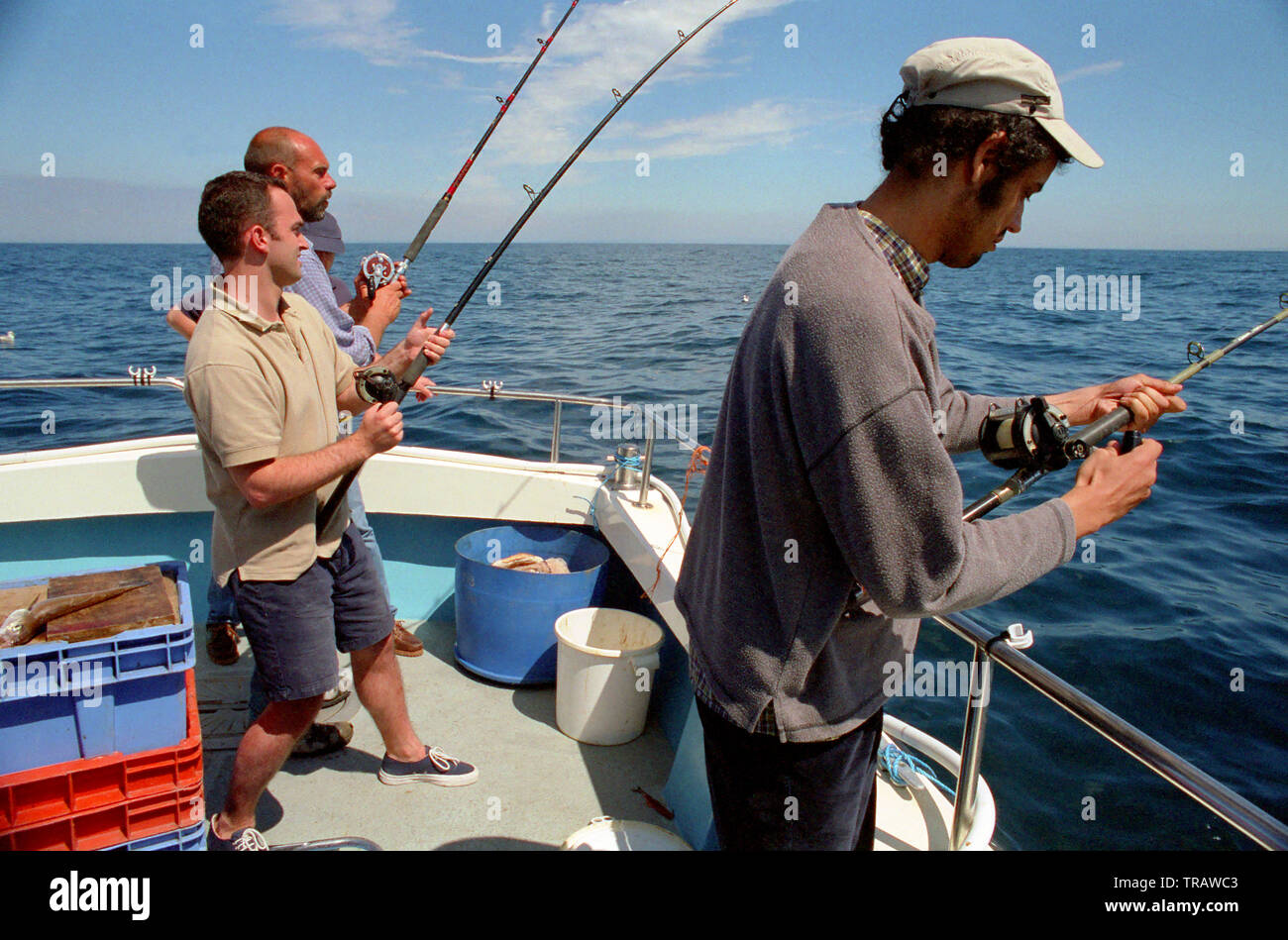 Shark fishing with rod and line off Plymouth, Devon, England Stock