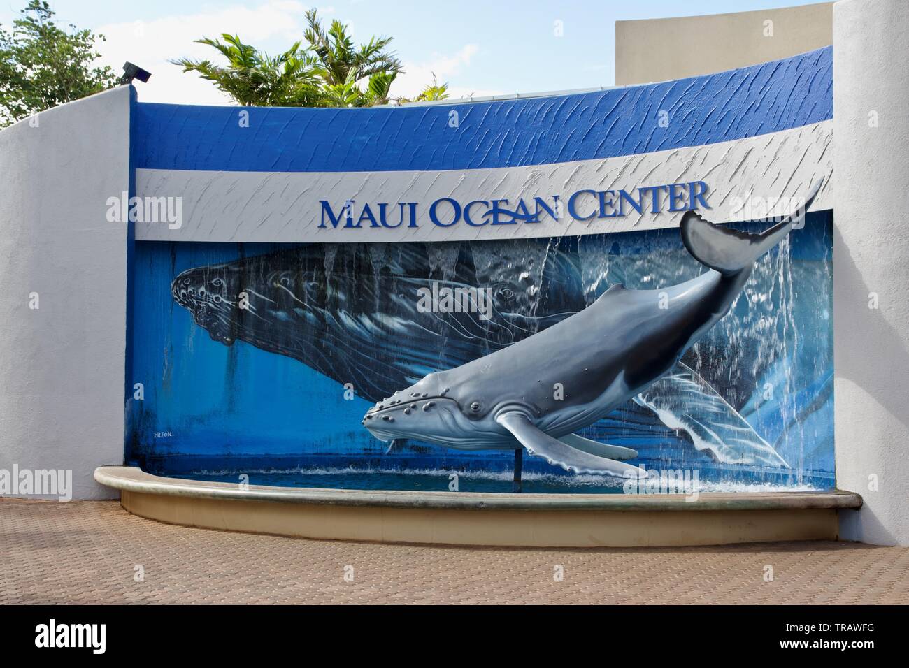 Maui Ocean Center, The Aquarium of Hawaii is the largest tropical reef