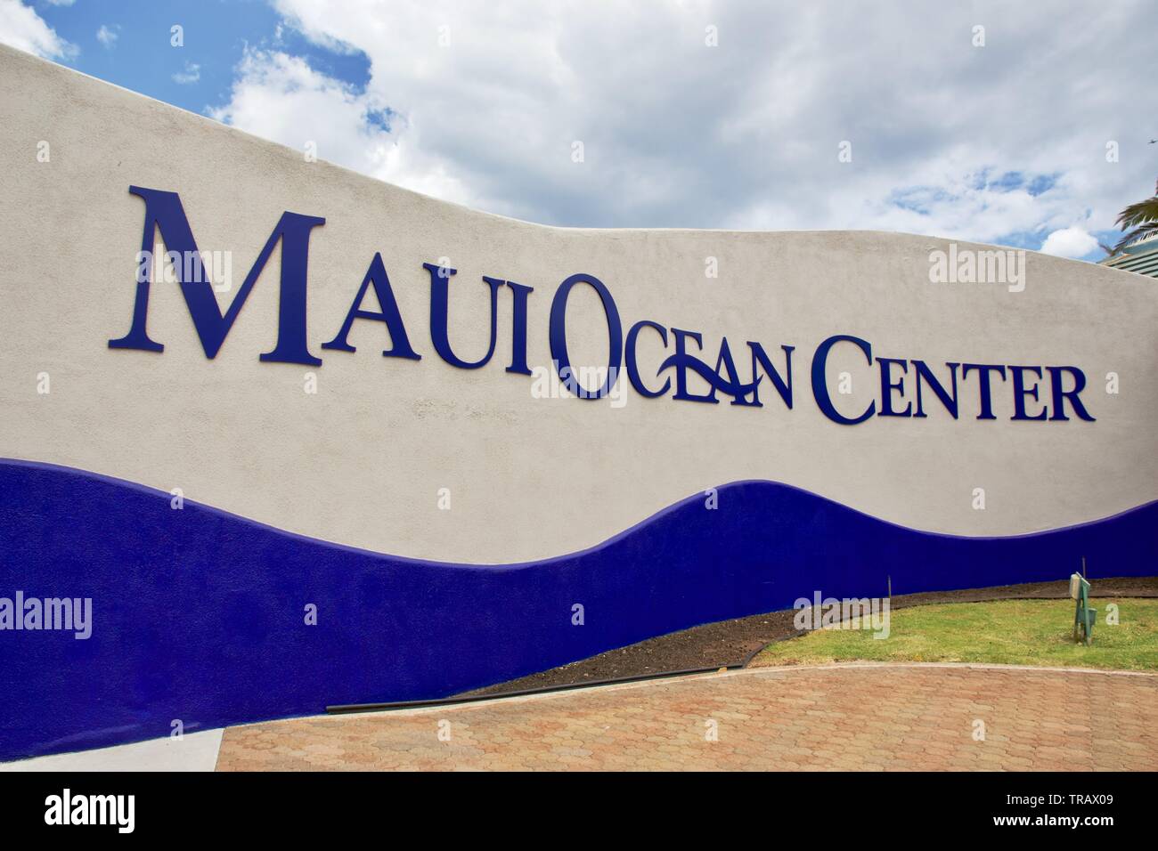Maui Ocean Center, The Aquarium of Hawaii is the largest tropical reef
