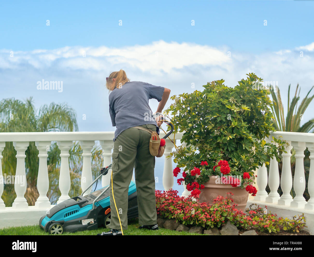 A gardener at work with the electric lawn mower, she is wearing work clothes, lateral back view. Stock Photo