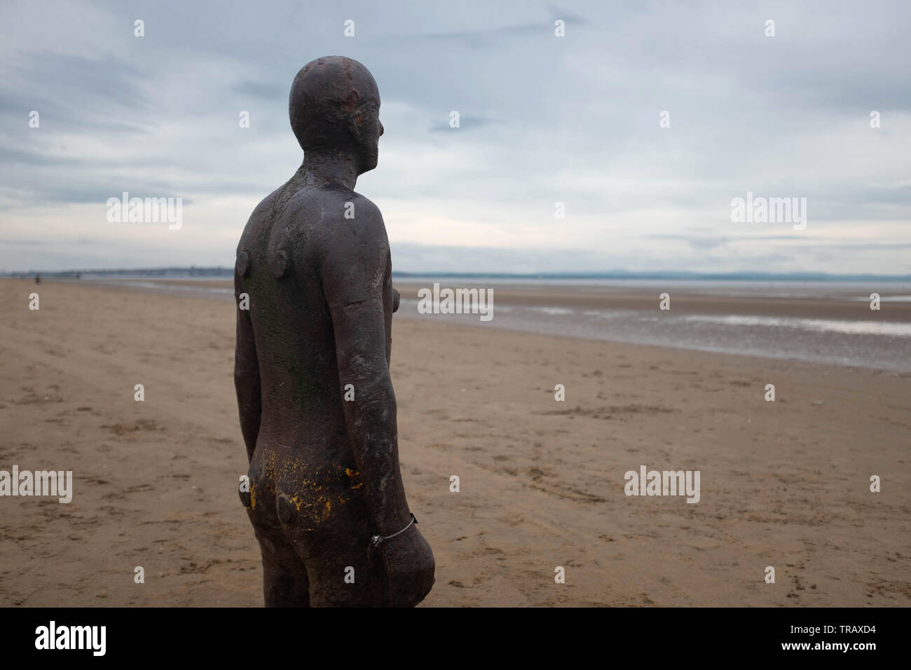 Antony Gormley Another Place art installation, Crosby Beach, Liverpool Stock Photo Alamy