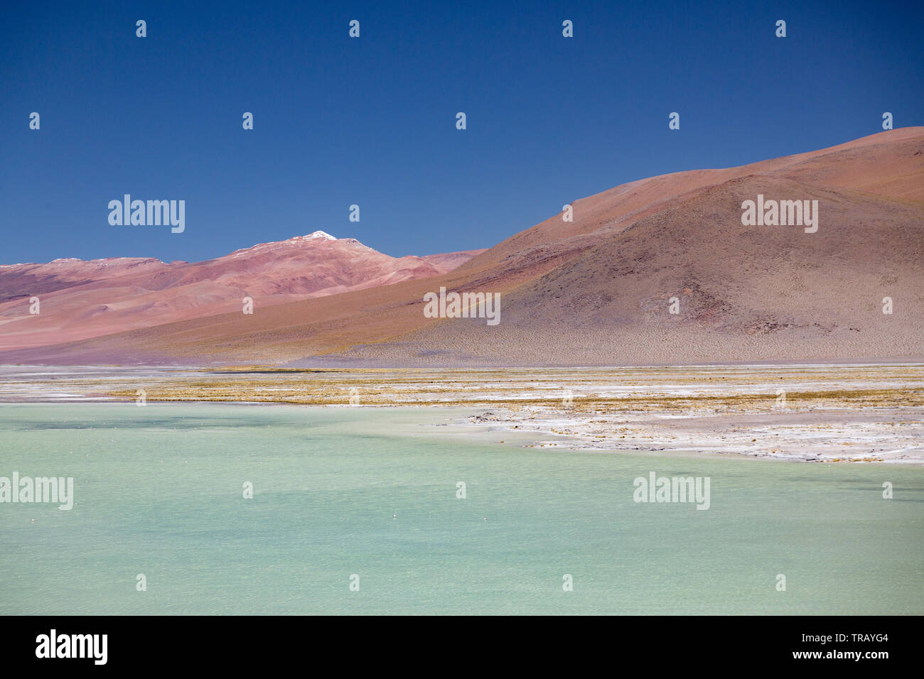 Lake in the Bolivian altiplano, near Polques hot springs Stock Photo