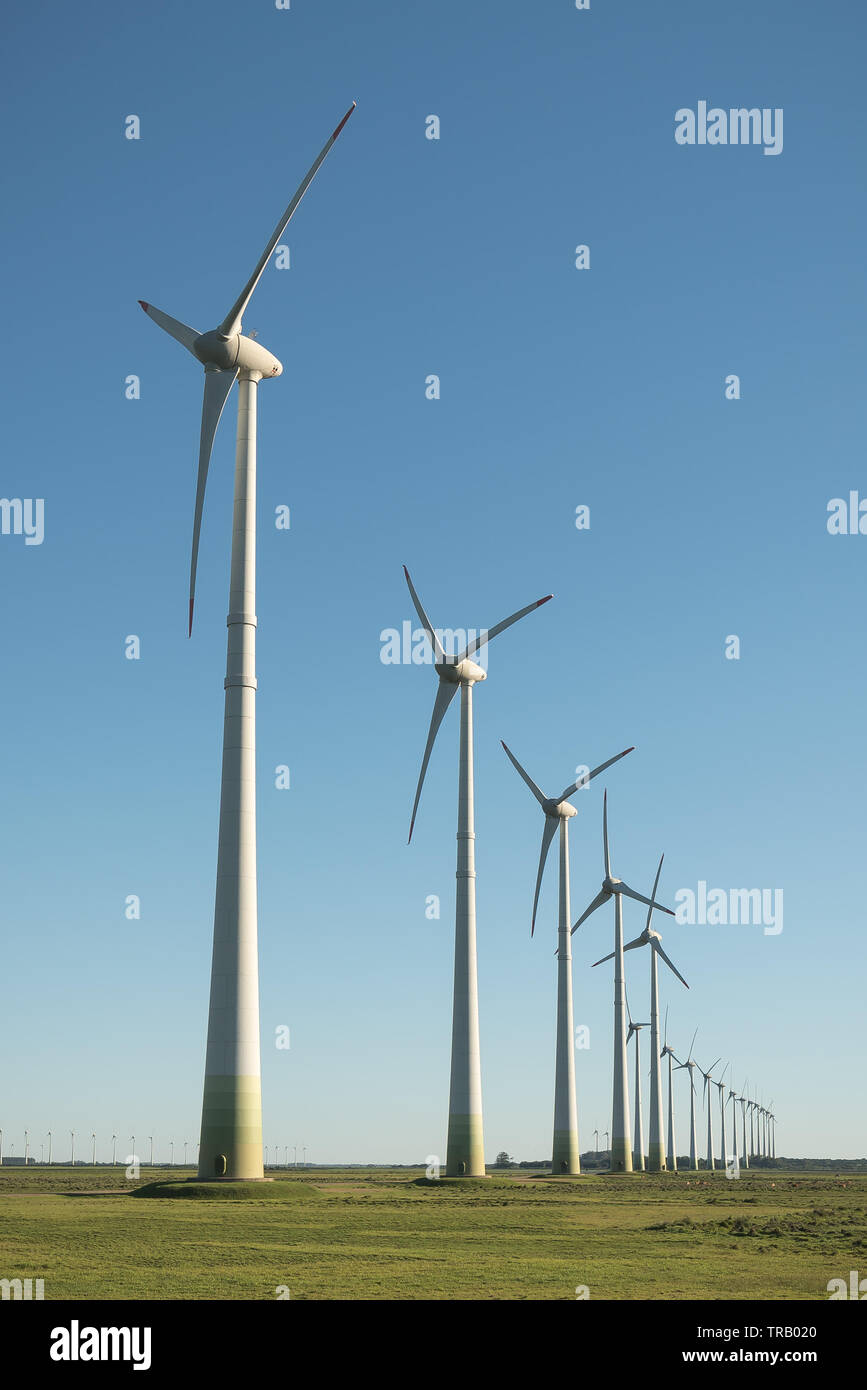 The windmills Stock Photo