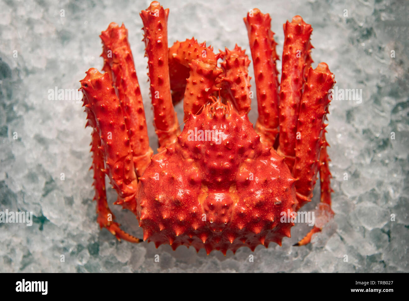 Alaskan King Crab on ice background top view / red crab hokkaido at seafood market Stock Photo