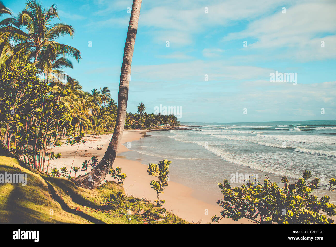 Ilhéus Bahia fonte: c8.alamy.com