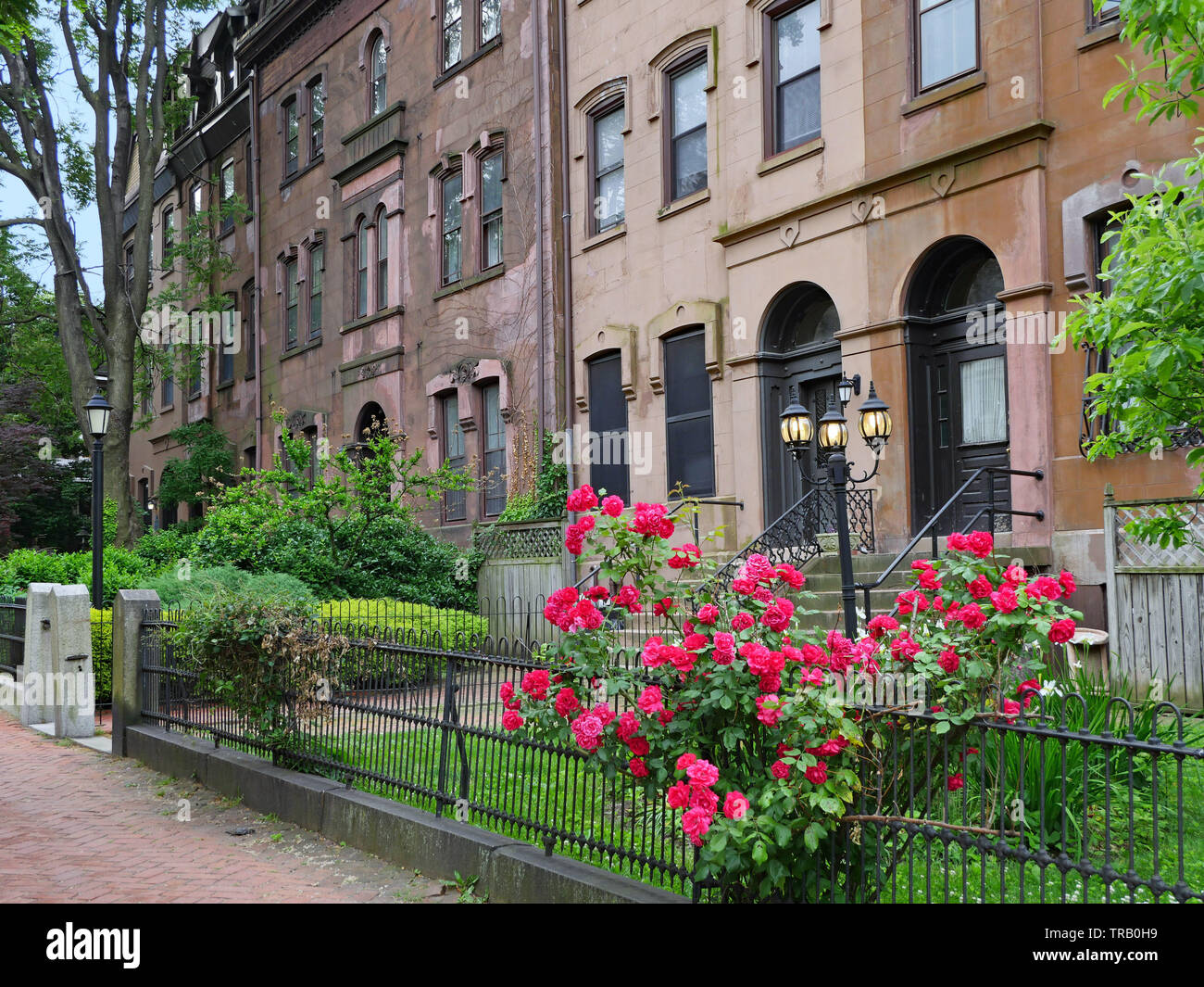 old brownstone type apartment buildings on a shady street with front