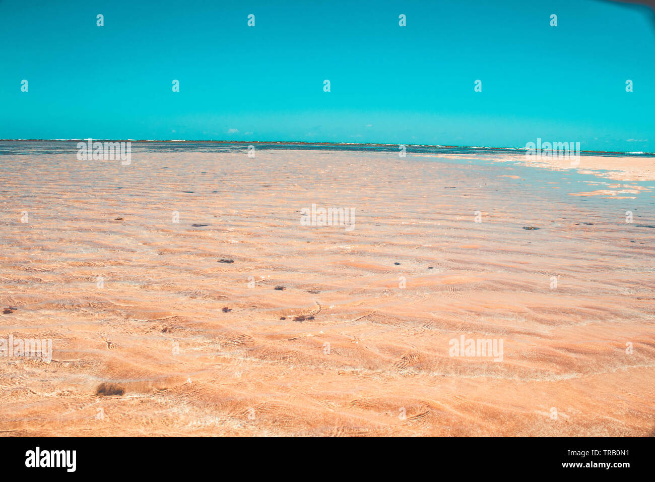 sand ridges and ripples on beach with blue water in Paraiba, Brazil ...