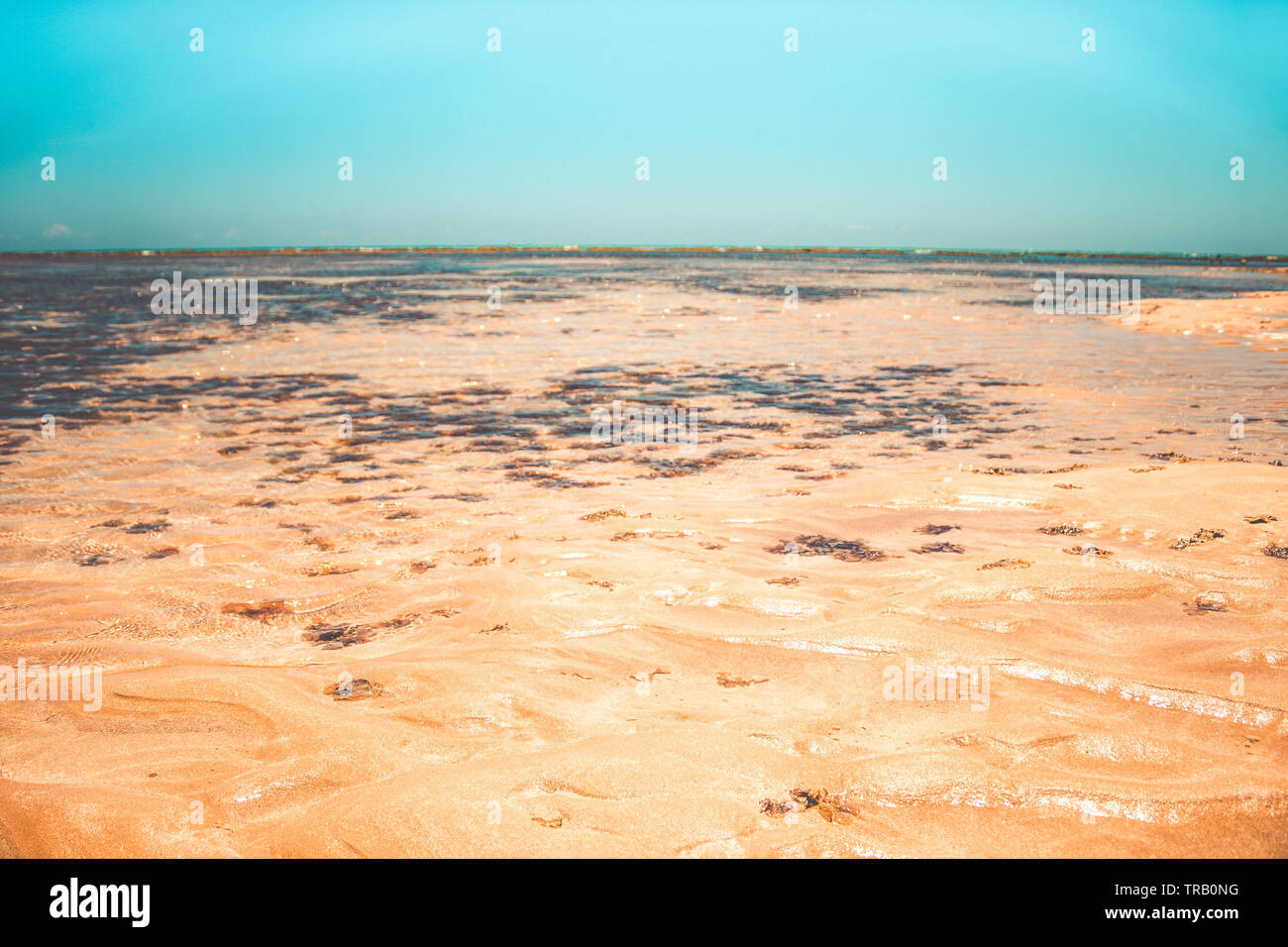 sand ridges and ripples on beach with blue water in Paraiba, Brazil ...