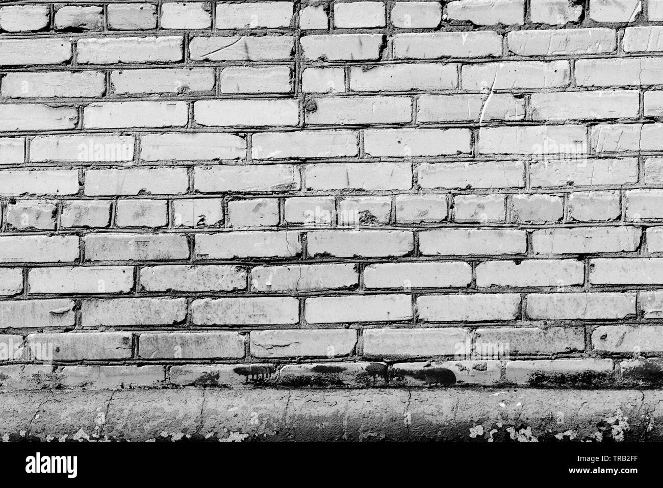 Old brick wall texture close up. Brick wall background black and white ...