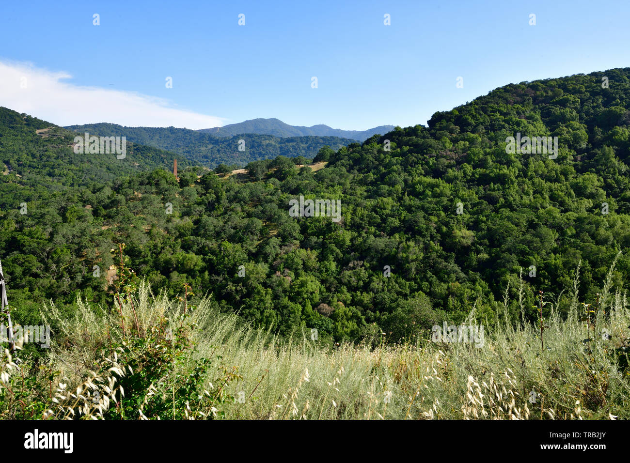Beautiful Lush Green Mountain Tops Stock Photo