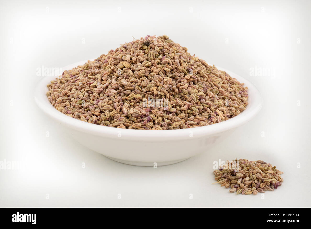 ajwain seeds in white bowl isolated on white background Stock Photo Alamy