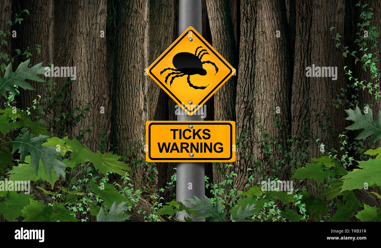 Tick parasite warning as signage or danger sign as a scary illness carrier bug mite as a risk for lyme disease in the wild. Stock Photo
