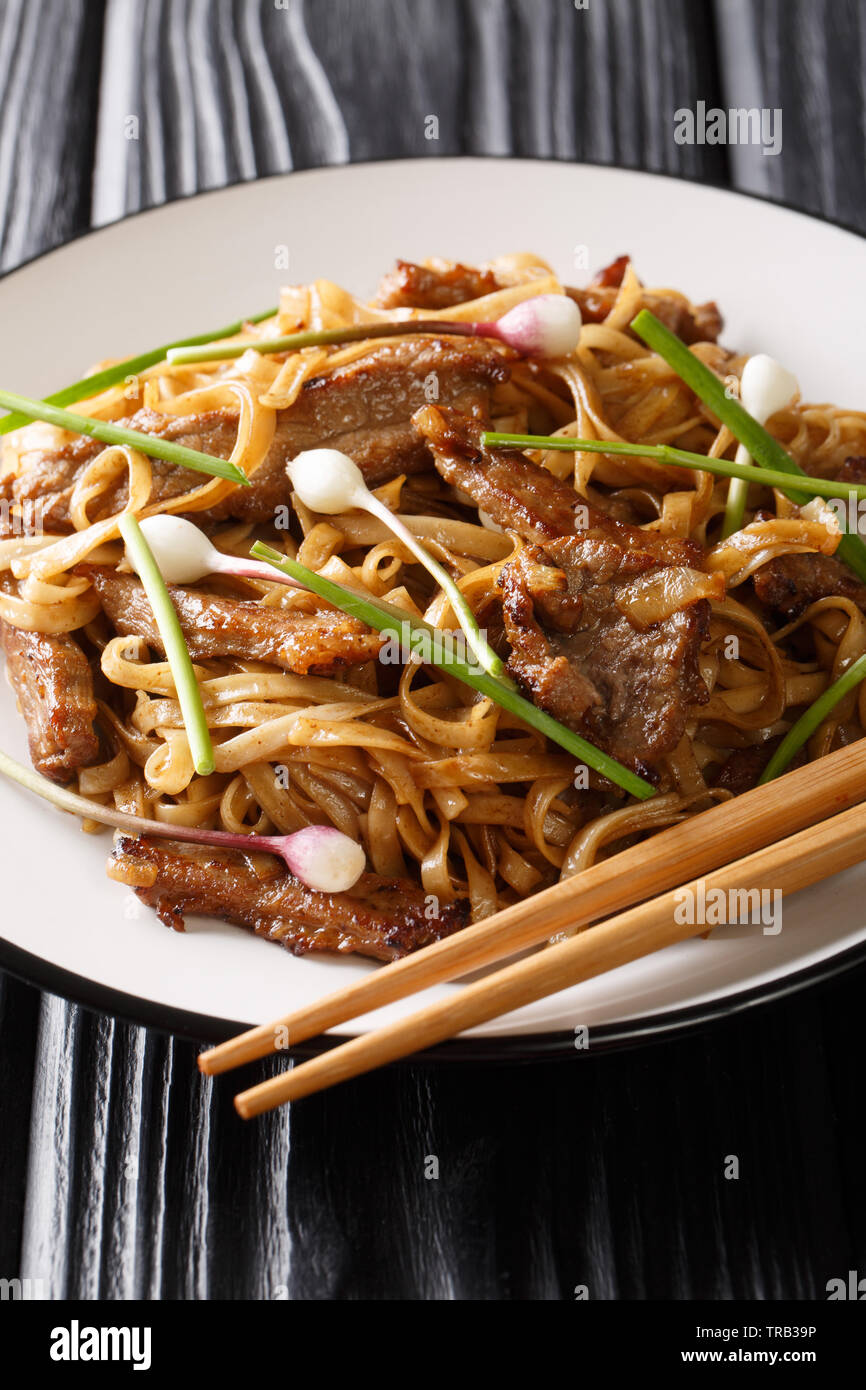 Beef Chow Fun - Beef stir-fried with rice noodle, bean sprouts, spring onions and Chinese chives is a famous Cantonese dish closeup on the plate on th Stock Photo