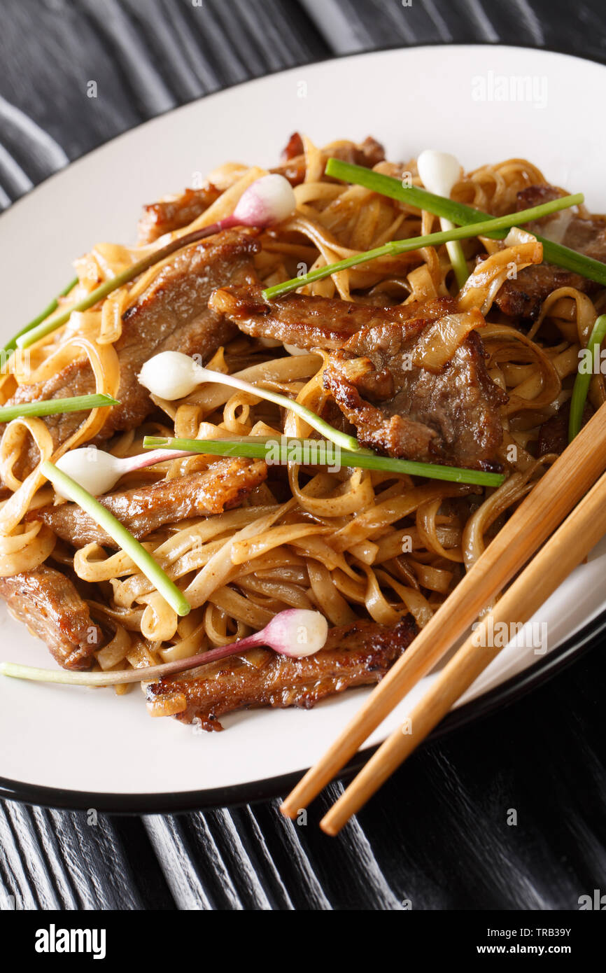 Beef Chow Fun Noodles (PanFried Ho Fun) Cantonese dish closeup on the plate on the wooden table