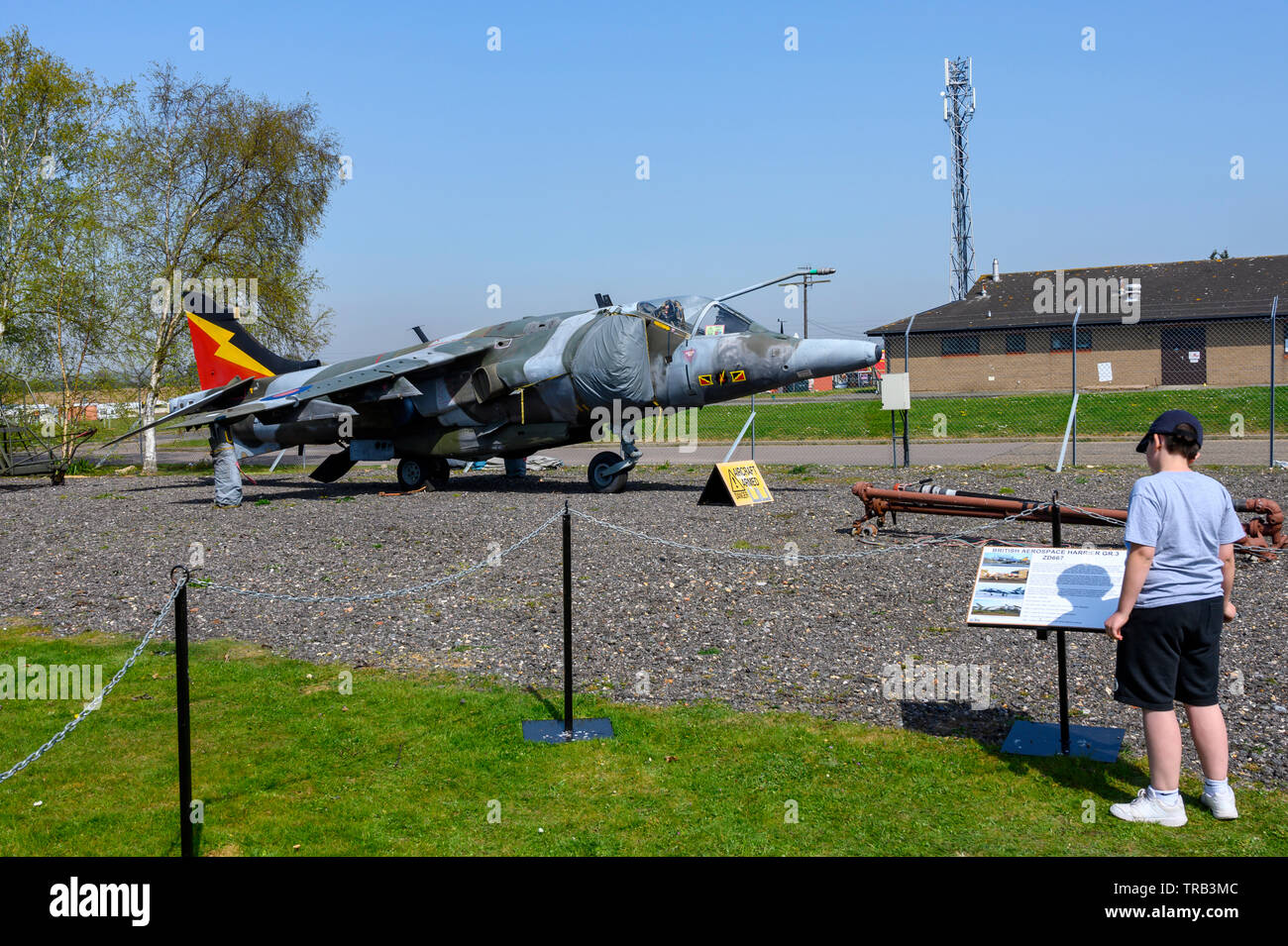 British Aerospace Harrier GR.3 ZD667 Stock Photo