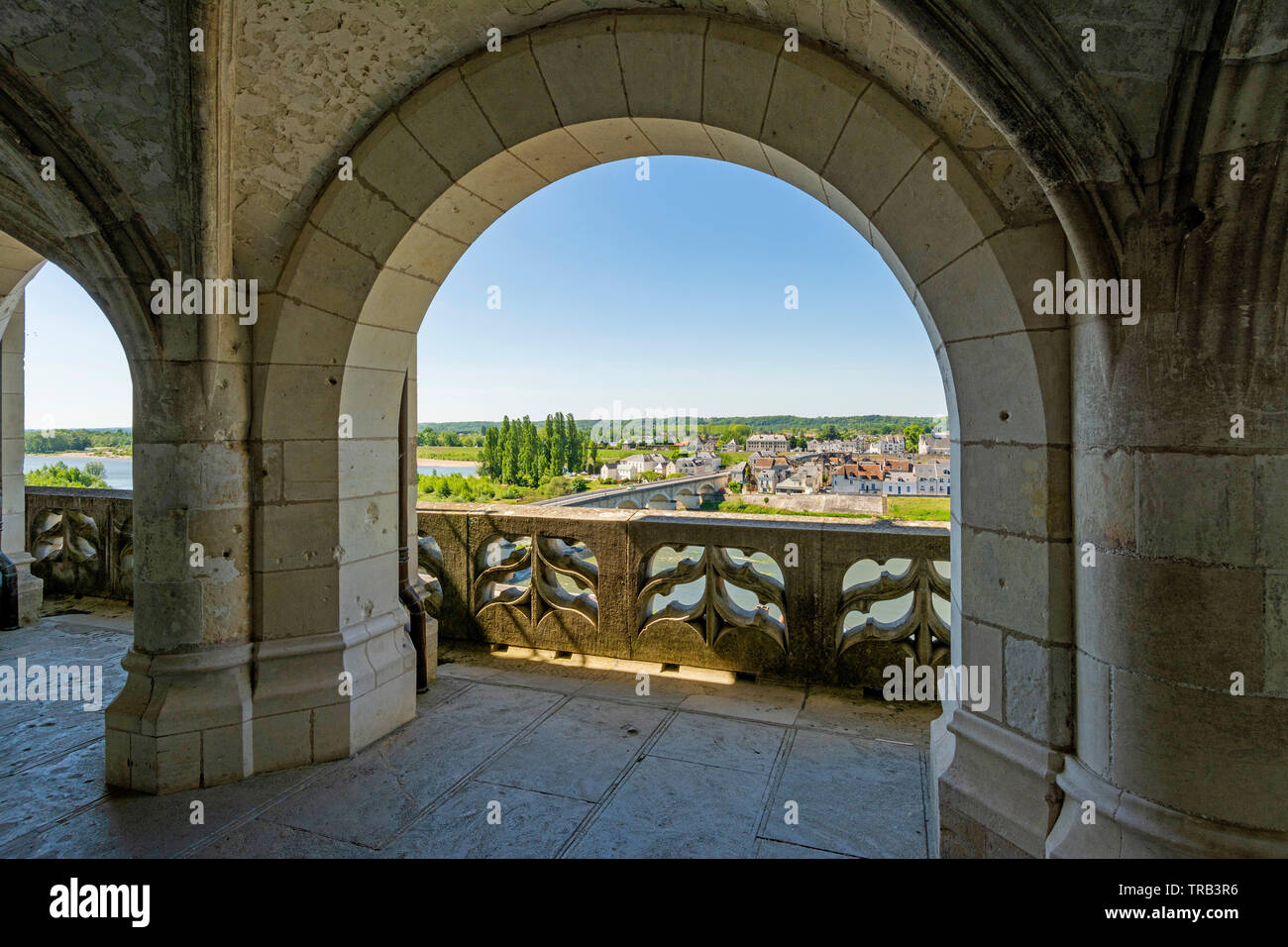 Renaissance castle of Amboise and view on Loire river, Loire Valley, Indre-et-Loire Departement, Centre-Val de Loire, France, Europe Stock Photo