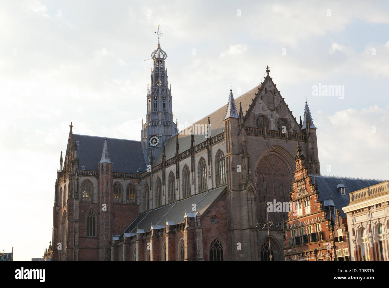 Grote Kerk or St.-Bavokerk, Haarlem, Netherlands. Stock Photo