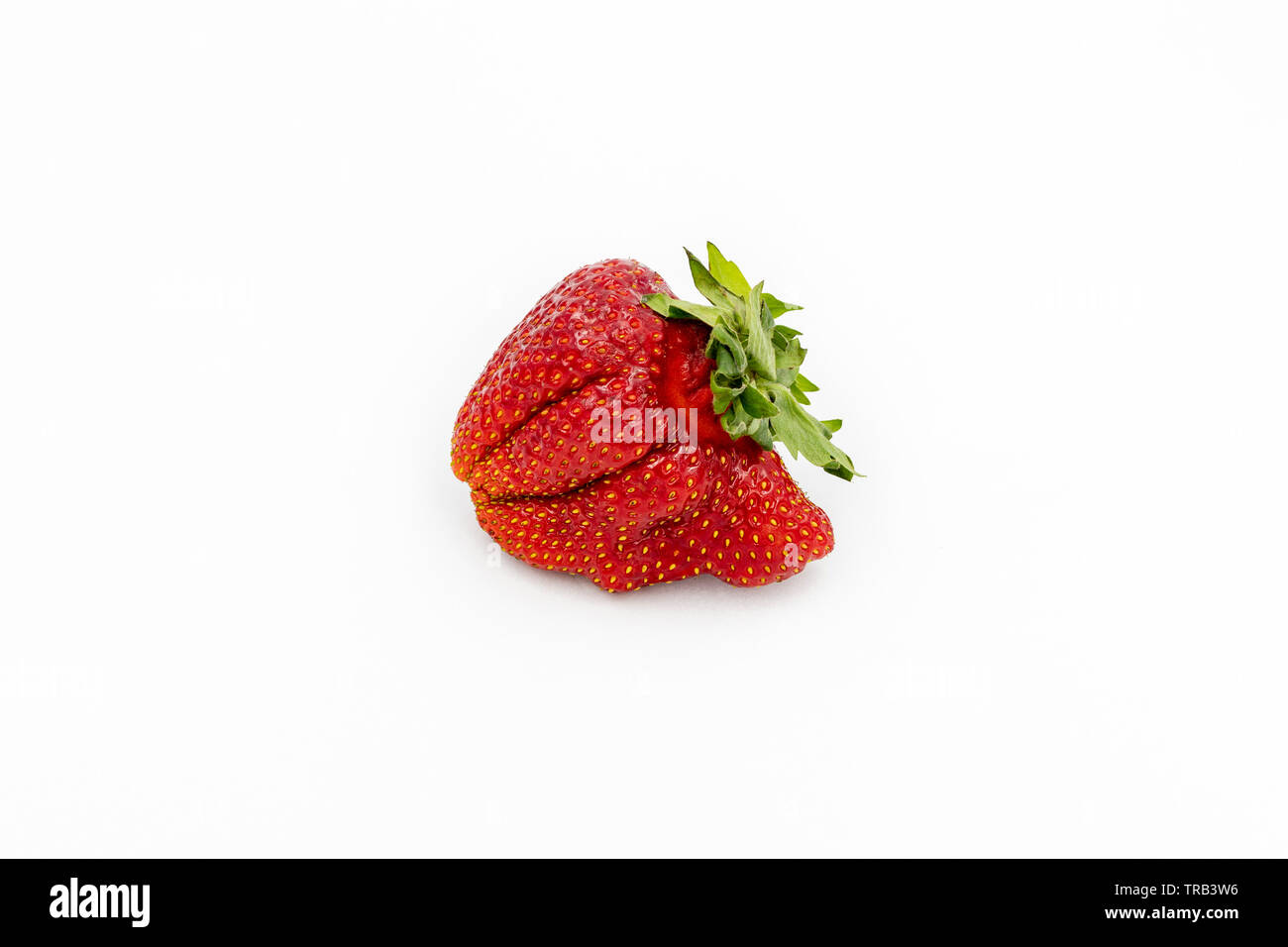 Imperfect Fresh Organic Strawberry. Isolated Fruit Closeup. Red Juicy Berry for Natural Raw Diet. Summer Organic Nutrition. Natural Grown Imperfect Fo Stock Photo