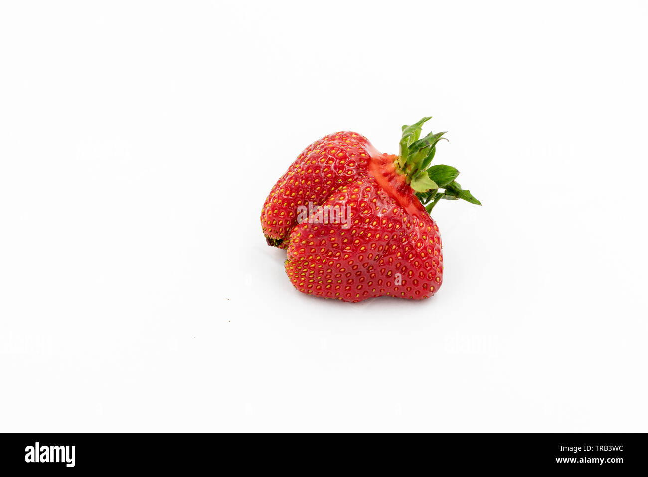Fresh Strawberry. Imperfect Vegetable. Raw Organic Fruit Closeup Isolated on White. Sweet Red Natural Berry. Vegetarian Nutrition Breakfast Ingredient Stock Photo