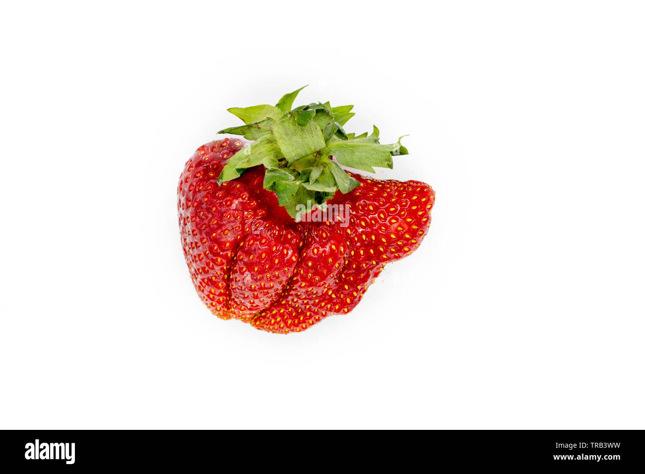 Imperfect Vegetable. Fresh Strawberry. Raw Organic Fruit Closeup Isolated on White. Strage Ugly Vitamin Fruit. Fresh and Delicious Sweet Red Natural B Stock Photo