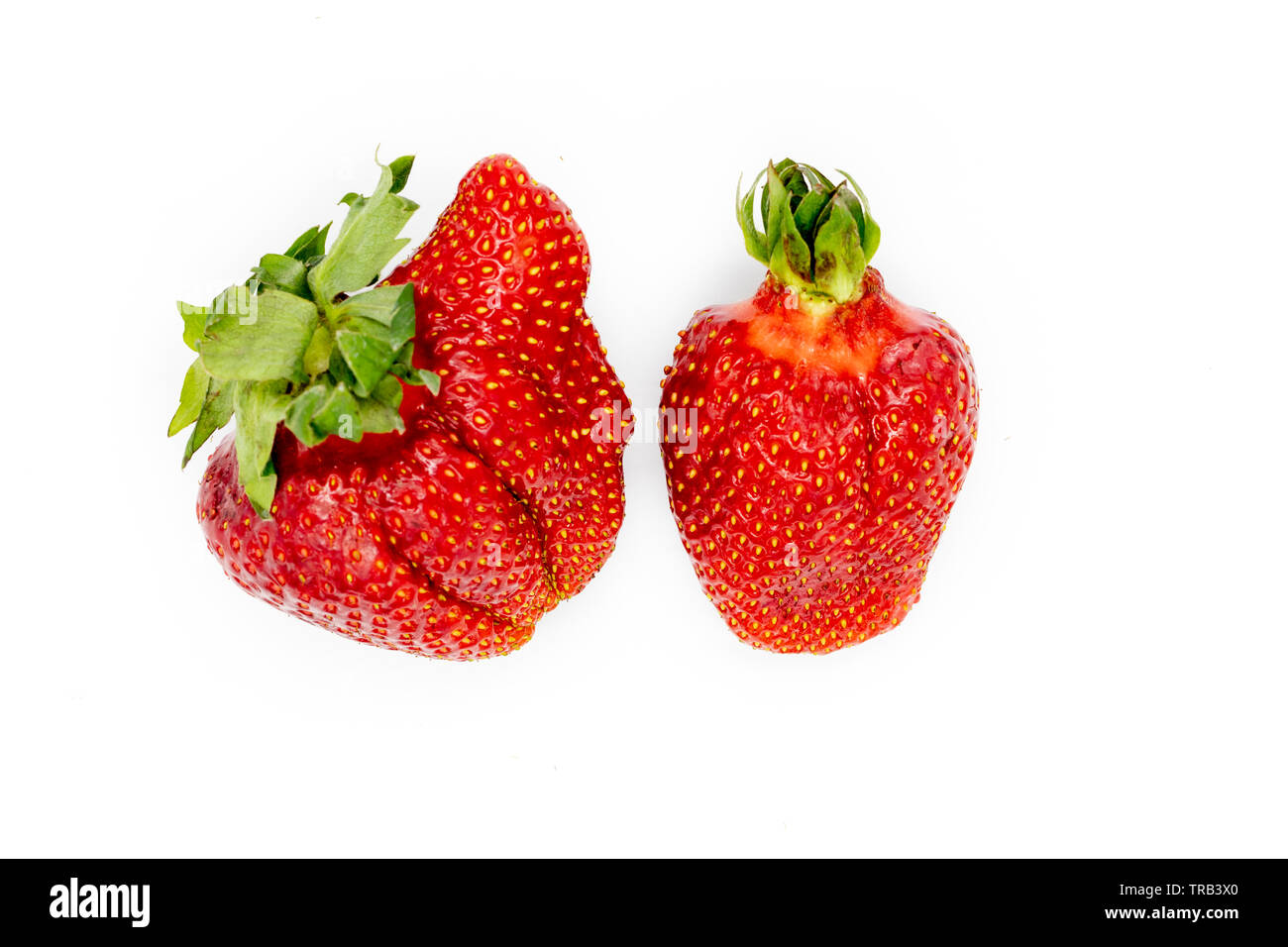 Imperfect Strawberry. Isolated Organic Fruit. Whole Berry Pair Collection. Nature Nutrition for Summer Breakfast. Different Non Ideal Heiroom Berries. Stock Photo