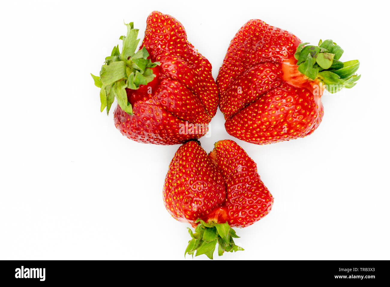Strawberry. Imperfect Fresh Organic Fruit Closeup. Healthy Green Vegetarian Nutrition. Whole Vitamin Breakfast Ingredient. Ugly Non Ideal but Deliciou Stock Photo