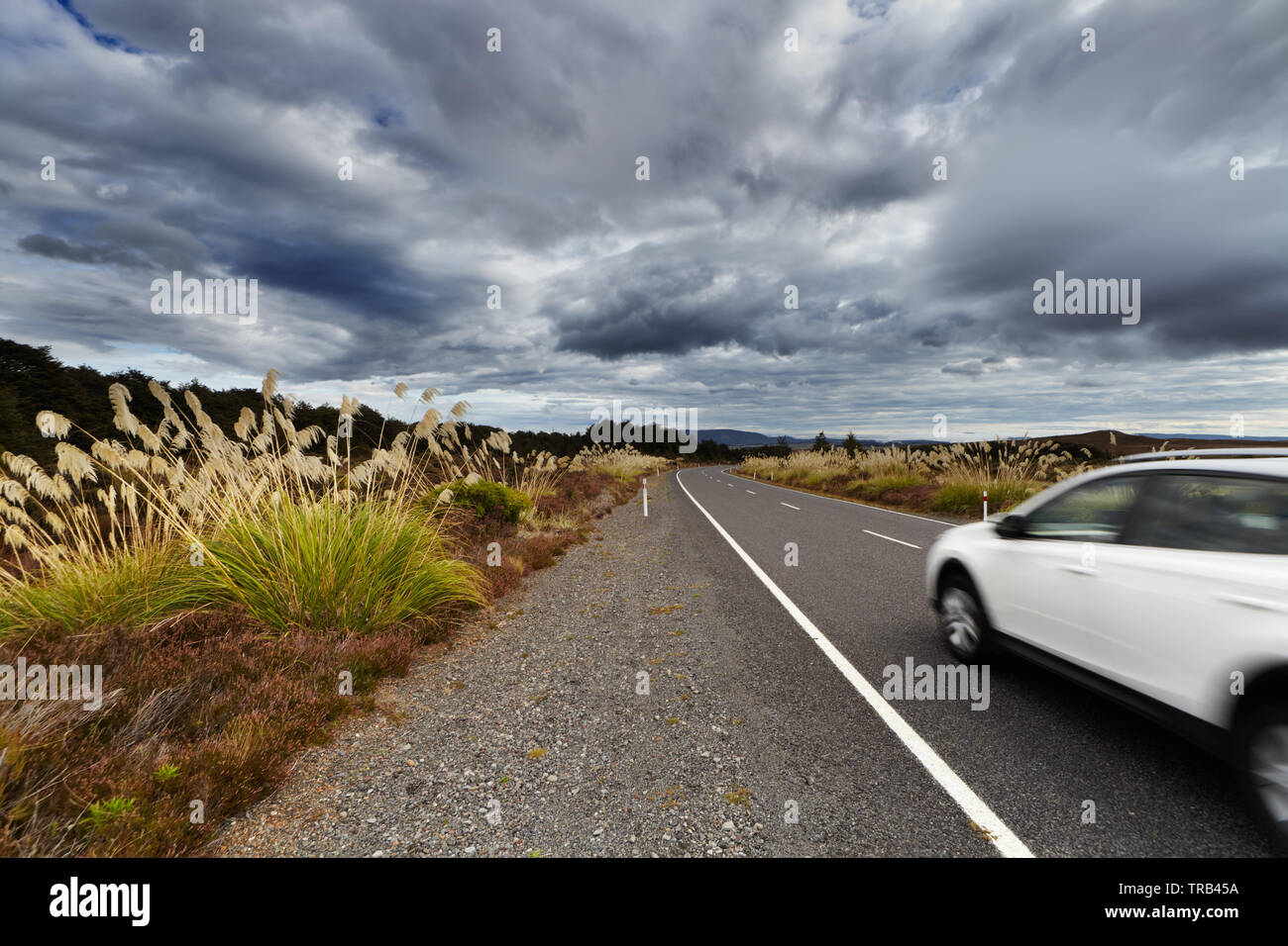 New Zealand landscape, North Island, Tongariro National Park Stock Photo