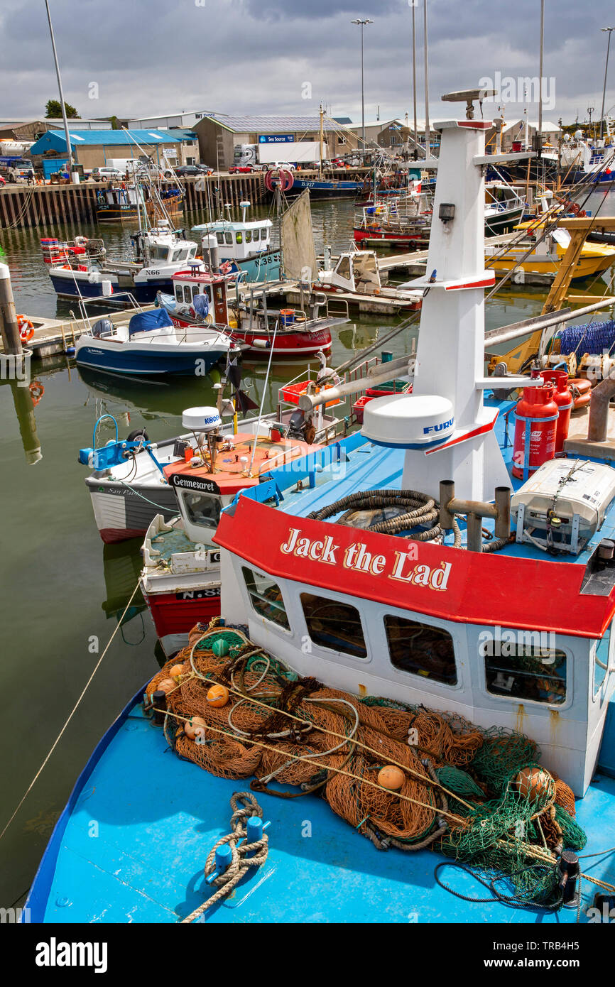 Northern Ireland, Co Down, Kilkeel, Harbour, working fishing boat Jack the Lad moored Stock Photo