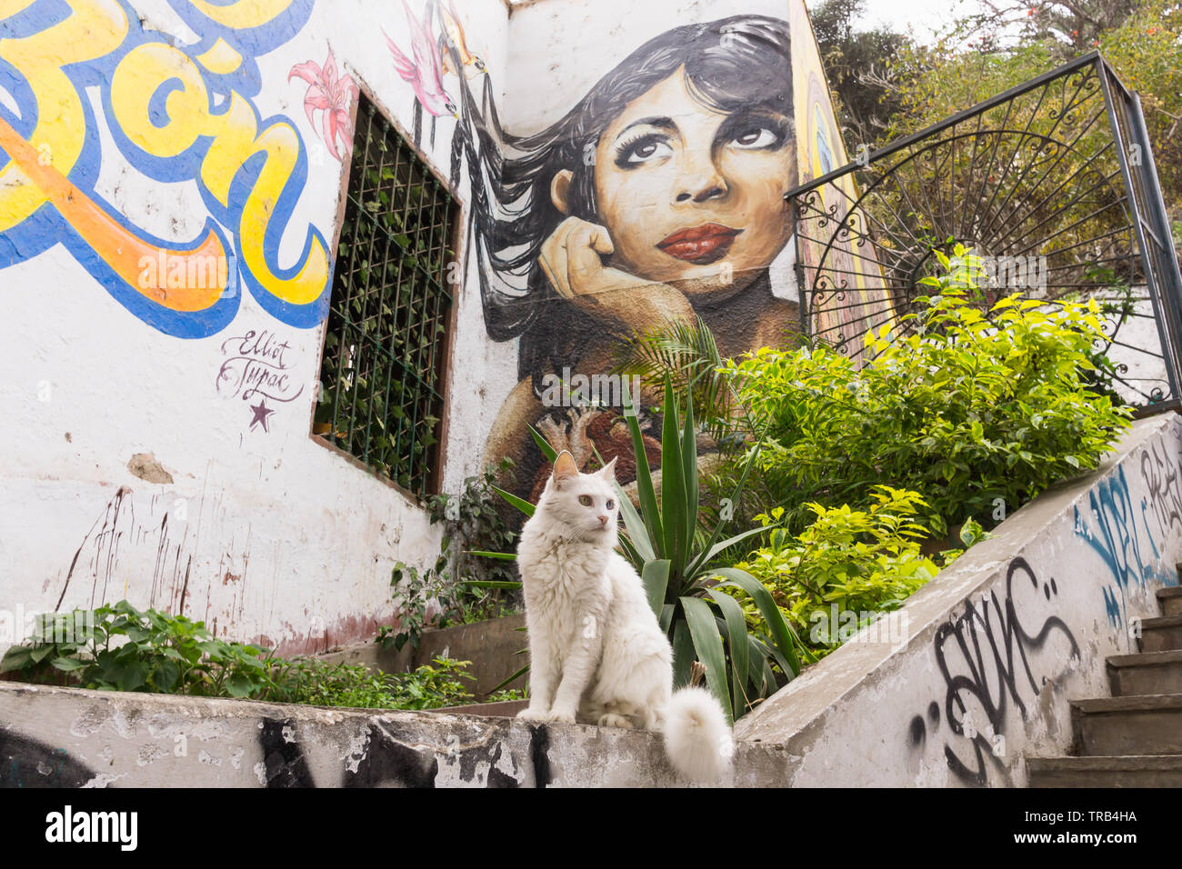 Street art in the Barranco district of Lima, Peru. Stock Photo