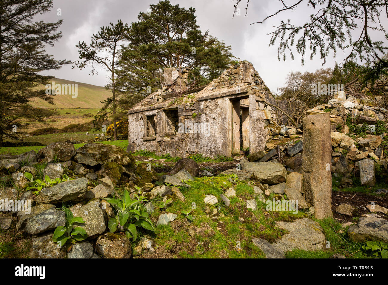 Northern Ireland, Co Down, Low Mournes, Curraghknockadoo, abandoned rural cottage in mountainside location Stock Photo