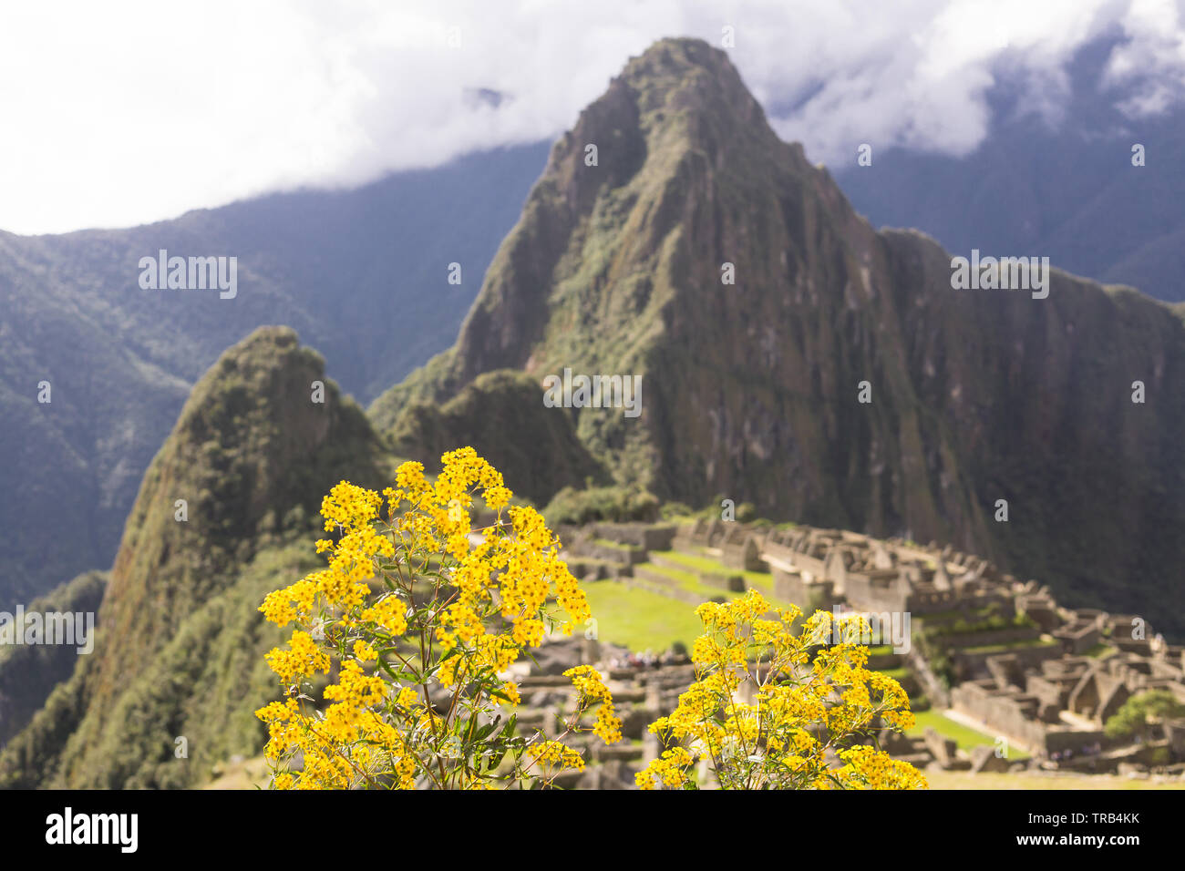 Machu Picchu Peru - Machu Picchu citadel and the Huayna Picchu Mountain in Peru, South America. Stock Photo