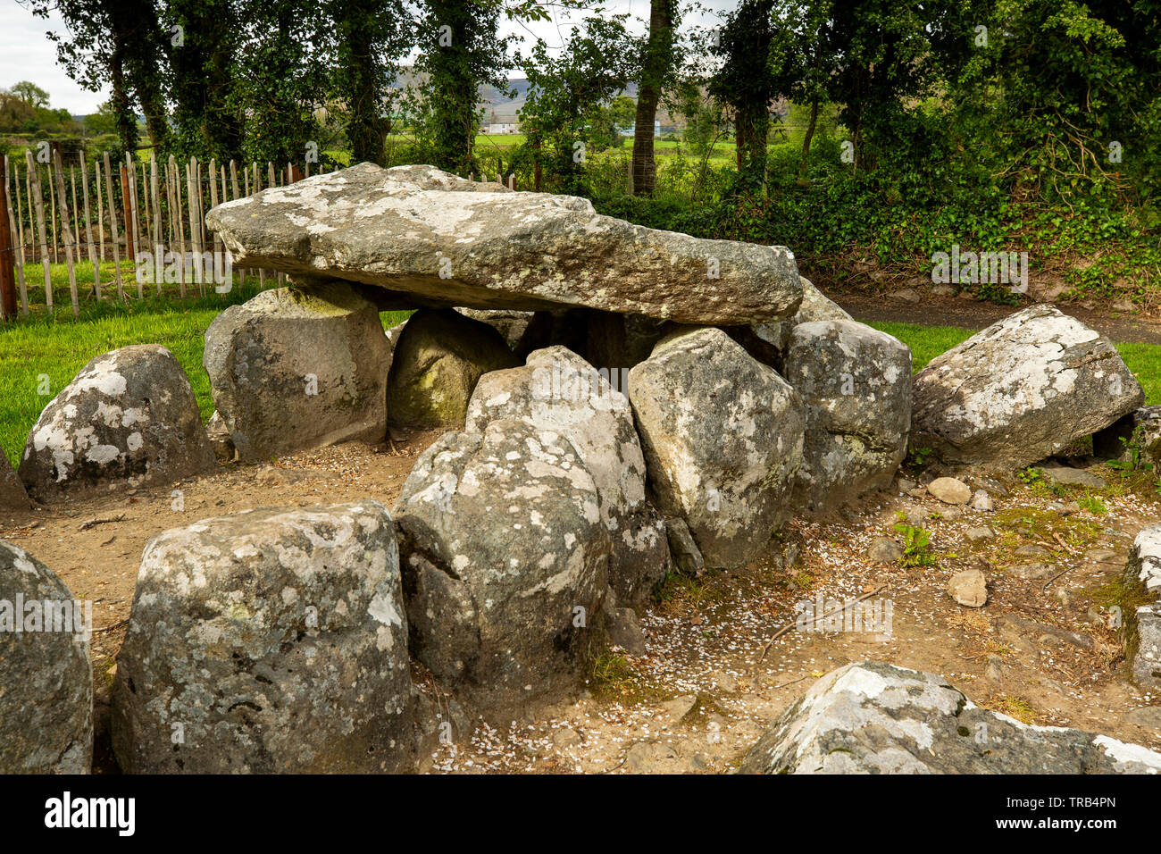 Ireland, Co Louth, Ballymascanian, Proleek wedge shaped Neolithic burial  place, the Giant's Grave Stock Photo - Alamy