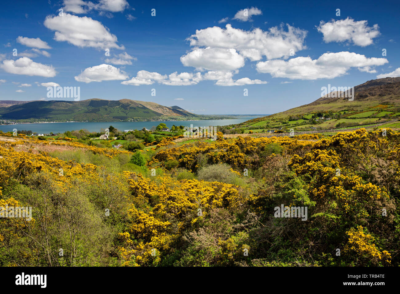 Ireland, Co Louth, Cooley Peninsula, Omeath, Clarmontpass Bridge, view down to Carlingford Lough and Mourne Mountains Stock Photo