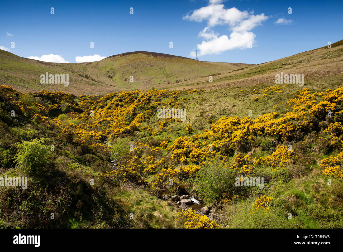 Ireland, Co Louth, Cooley Peninsula, Omeath, Clarmontpass Bridge, view