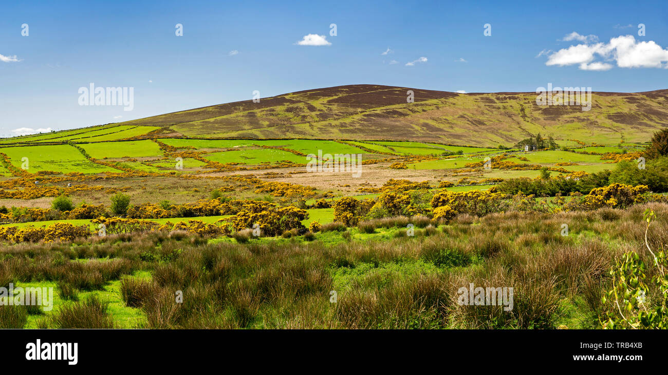 Ireland, Co Louth, Cooley Peninsula, Glenmore, panoramic view across farmland to Slievetrasna Stock Photo