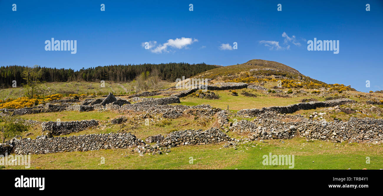 Ireland, Co Louth, Cooley Peninsula, Rooskey, abandoned pre-famine village on slopes of Barmavave, panoramic Stock Photo